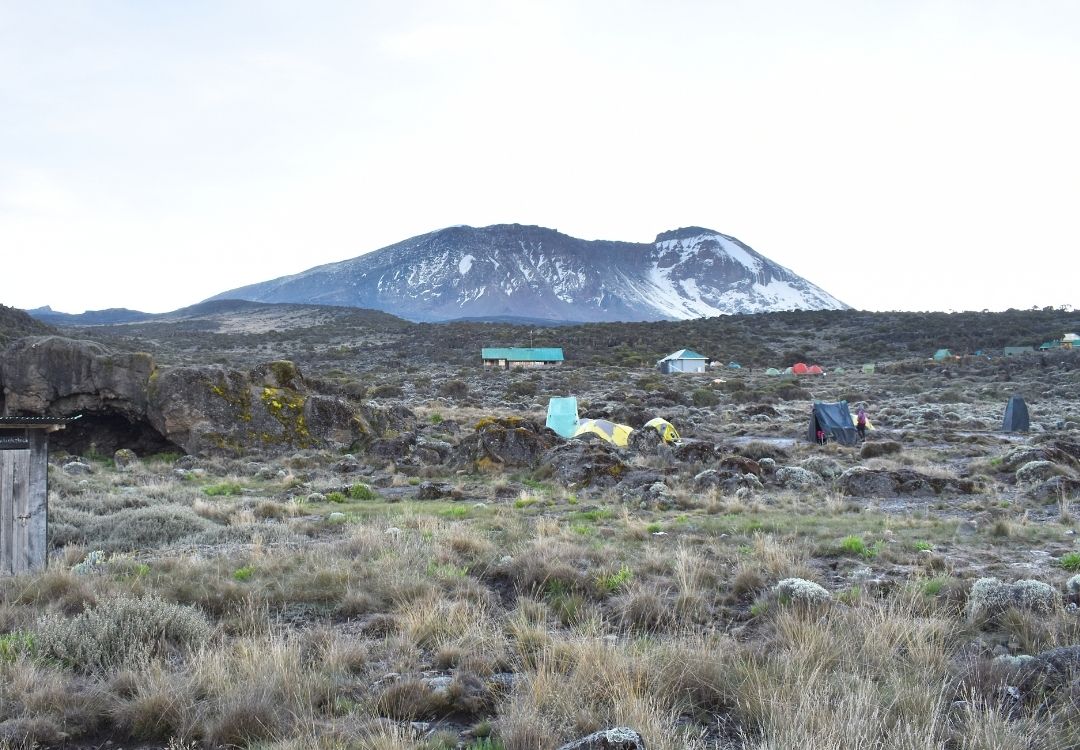 wildloversafaris(13)