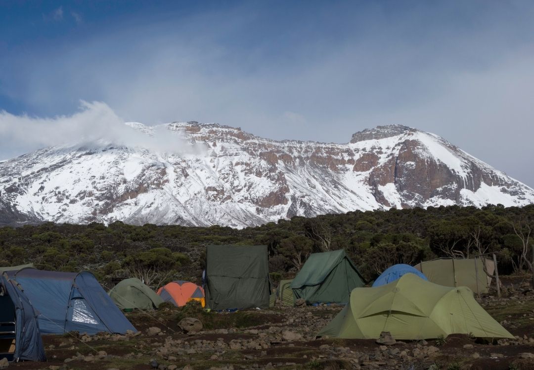 wildloversafaris