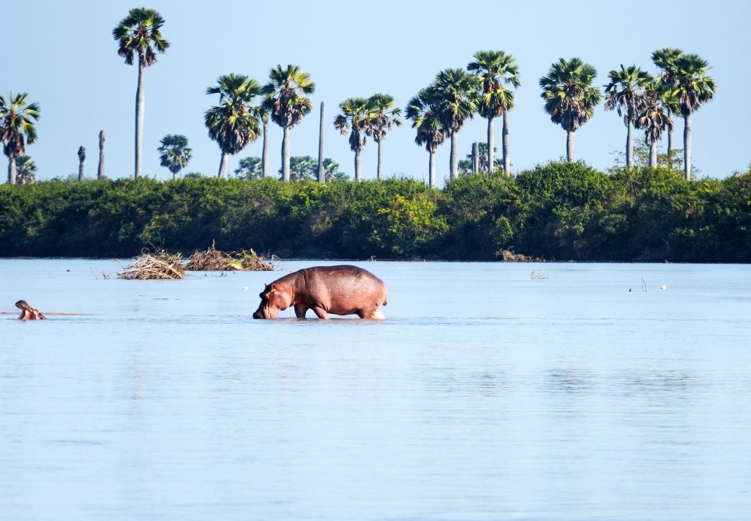 wildloversafaris(16)