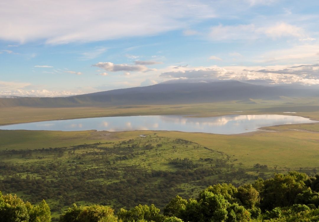 wildloversafaris
