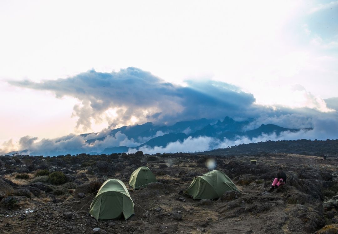 wildloversafaris(18)