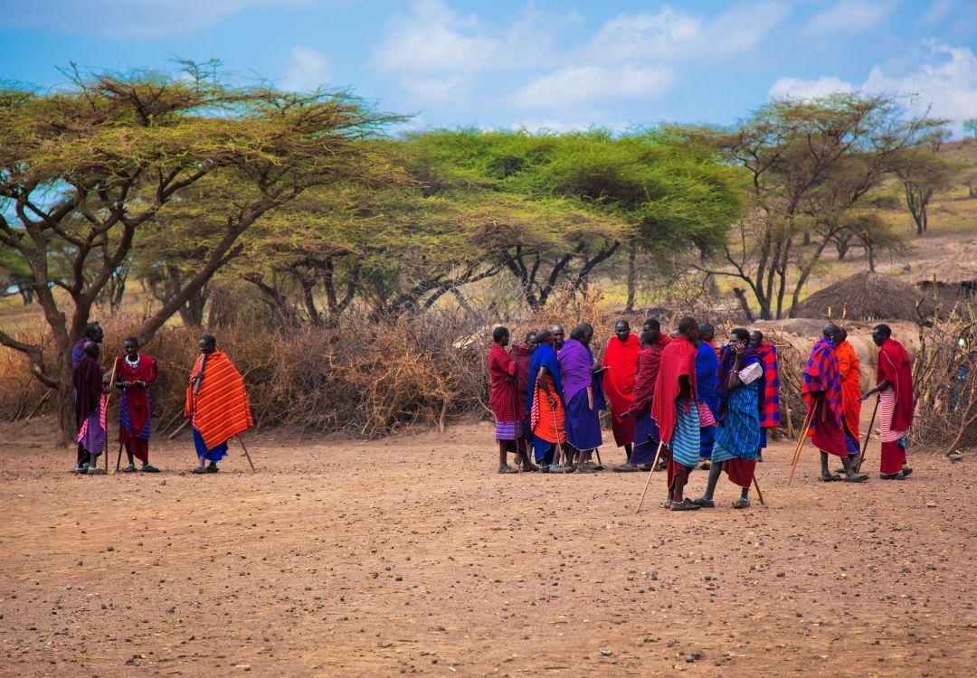 wildloversafaris(19)
