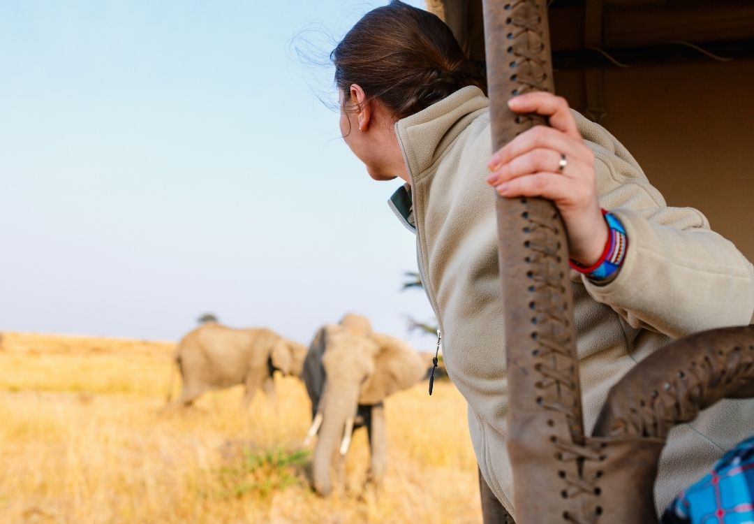 wildloversafaris(33)
